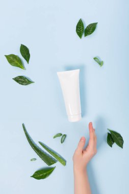 Kozmetik krem yüz modelleme tüpü ya da vücut losyonu, aloe vera ve mavi arka planda yeşil yapraklar. Doğal kozmetik ürün konsepti, üst görünüm, kopyalama alanı.