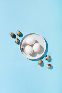 Paskalya bayramı tebrik kartı geçmişi. Mavi masadaki Paskalya beyaz yumurtaları ve tüyleri. Uzayı kopyala, üst görünüm. Asgari Paskalya kartı konsepti, sert gölgeler.