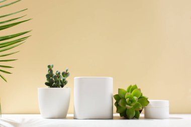 Arkaplanda beyaz boş kutular, kaktüs ve gölgeli sulu bitkiler. Kozmetik ürünler için vitrin. Örnek göster. Mekan Mockup tarzı. Kozmetik ve güzellik kavramı