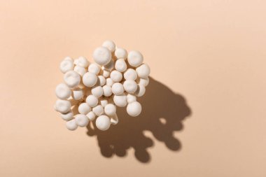 Taze shimeji (beyaz kayın) mantarları pastel bej kağıt arka planda. Superfood Trend taze mantarları. Düz konum, üst görünüm, kopyalama alanı.
