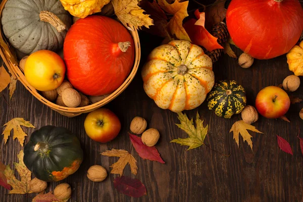 Herbstferienkomposition Getrocknete Blätter Kürbisse Äpfel Nüsse Und Zimt Auf Dunklem — Stockfoto