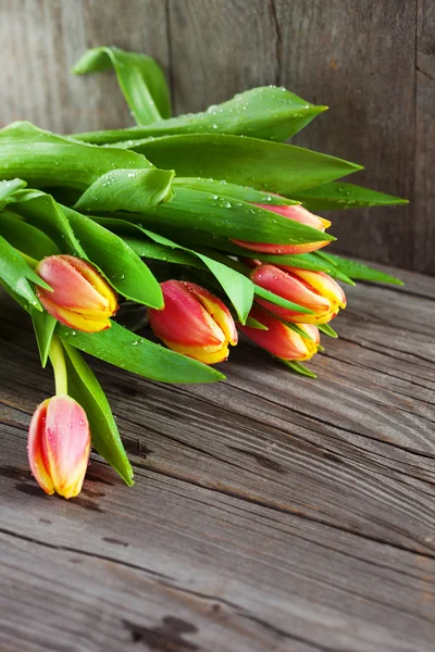 Bukiet kolorowych tulipanów — Zdjęcie stockowe