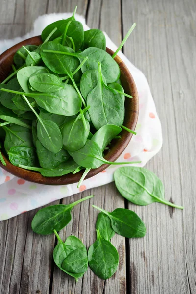 Frische Spinatblätter — Stockfoto