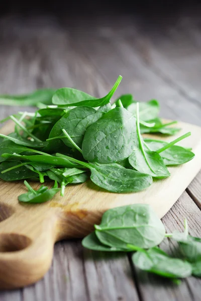 Fresh spinach leaves — Stock Photo, Image