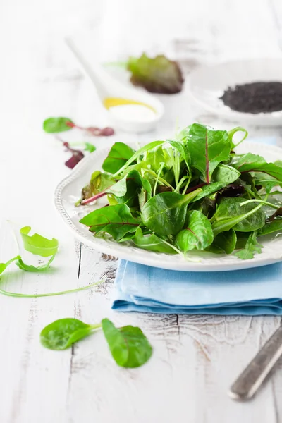 Verse groene salade — Stockfoto