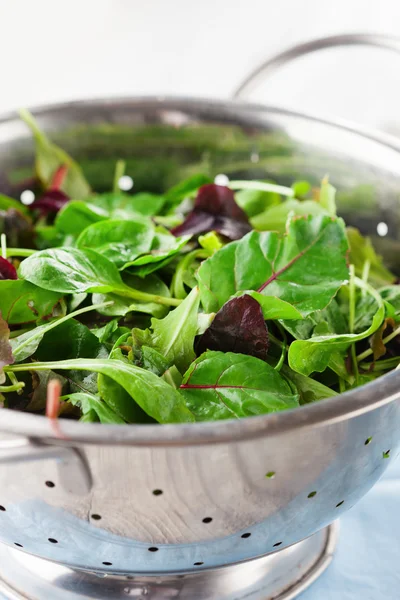 Verse groene salade — Stockfoto