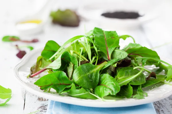 Taze yeşil salata. — Stok fotoğraf