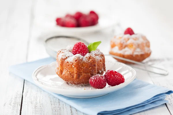 Muffin al lampone fatti in casa — Foto Stock