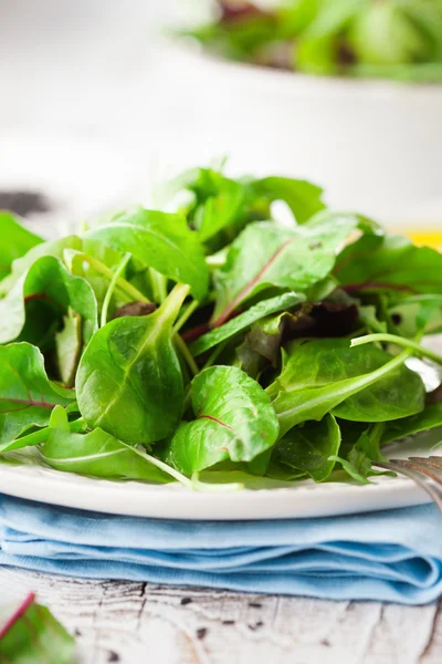 Salada verde fresca — Fotografia de Stock