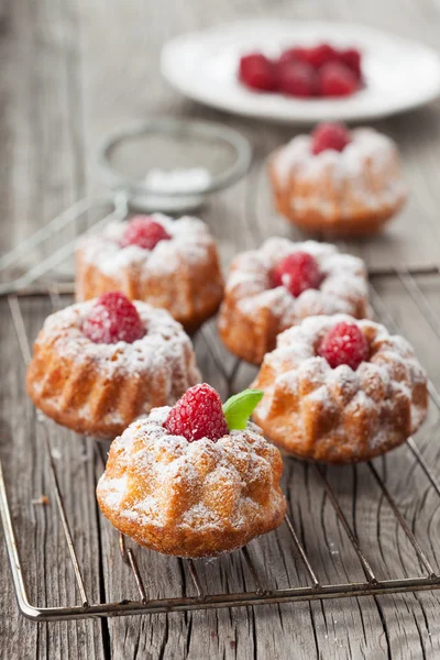 Σπιτικό σμέουρων muffins — Φωτογραφία Αρχείου