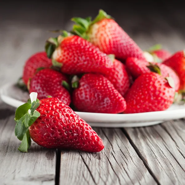 Verse aardbeien — Stockfoto