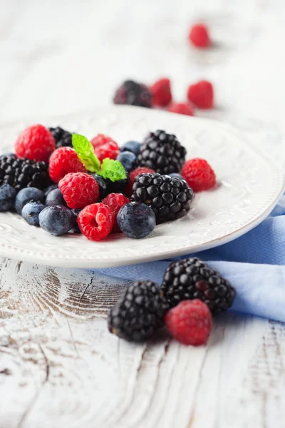 Arándanos frescos, frambuesas y moras — Foto de Stock