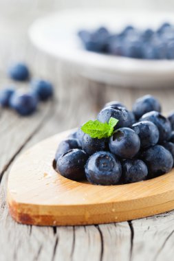 Sulu taze yaban mersini