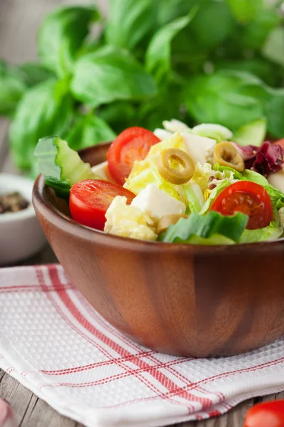 Frischer Sommersalat — Stockfoto