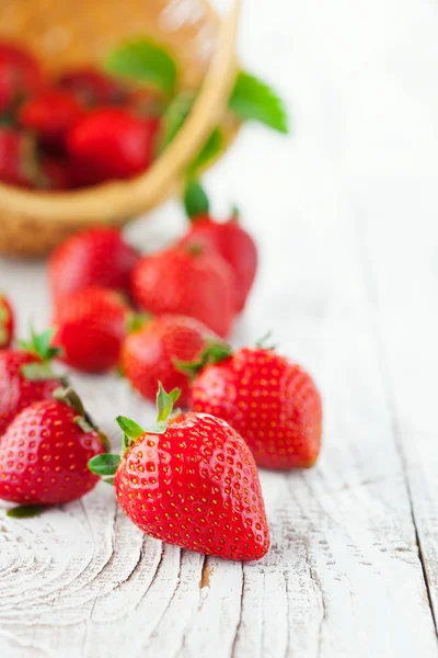 Fresas frescas jugosas — Foto de Stock