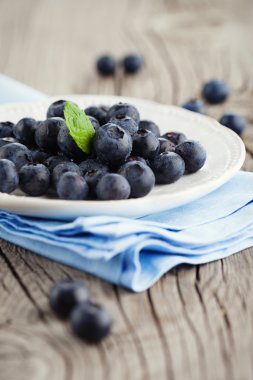 Sulu taze yaban mersini