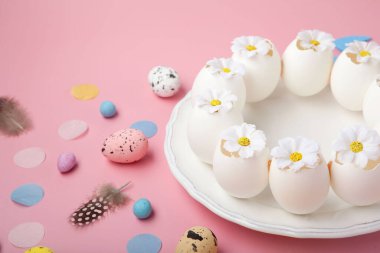 Paskalya bayramı kartı. Neşeli tavşan, boyanmış yumurta, bahar çiçekleri, açık pembe arka planda dekoratif elementler.