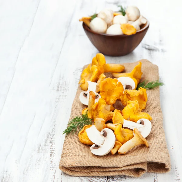 Fresh chanterelle mushrooms and champignons — Stock Photo, Image