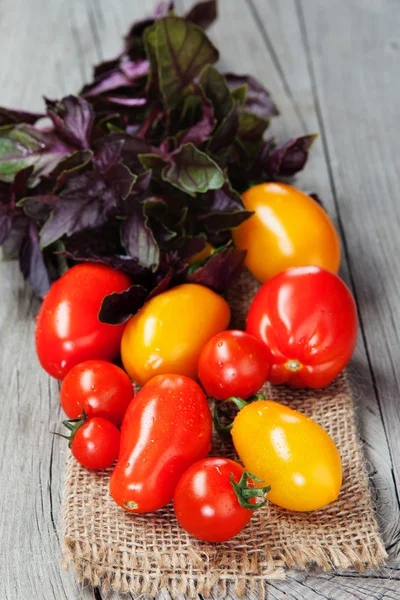 Fresh ripe tomatoes and basil — Stock Photo, Image