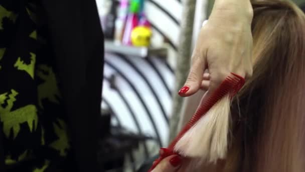 Ręce Fryzjera Nożyczkami Obcinają Mieszają Włosy Salonie Kobieca Fryzura Fryzura — Wideo stockowe