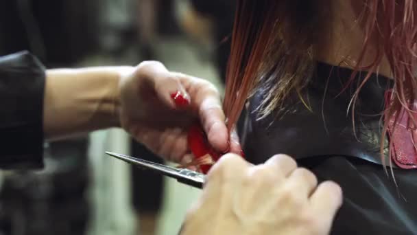 Kuaförün Elleri Makasla Kesilir Kuaförde Saç Öğütülür Kadın Saç Kesimi — Stok video