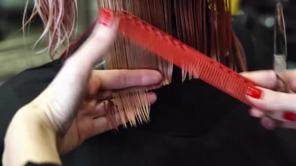 Ręce Fryzjera Nożyczkami Obcinają Mieszają Włosy Salonie Kobieca Fryzura Fryzura — Wideo stockowe