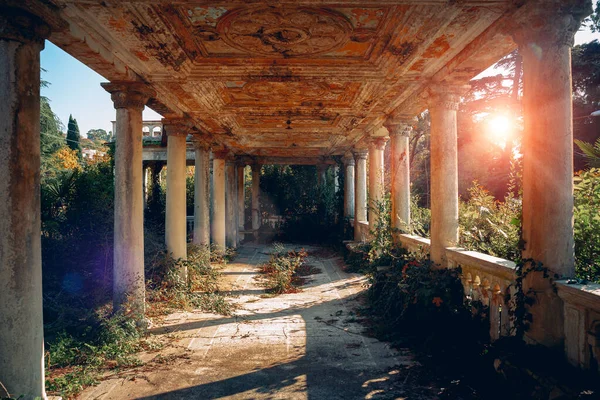 Ruínas Antigas Abandonadas Com Colunas Estação Ferroviária Coberta Por Plantas Fotografia De Stock
