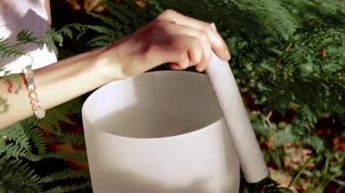 Eller ormanda beyaz kuvars kristal kaselerde şarkı söylüyor. Şifa veren tıp ve meditasyon Ruhsal müzik Buda eğreltiotu geçmişi