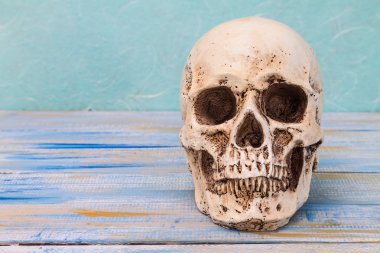 Kafatası renkli ahşap tahta ve yeşil dut paperbackground