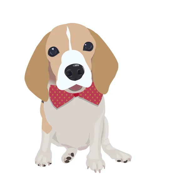 Aranyos Queen Elizabeth Pocket beagle — Stock Vector