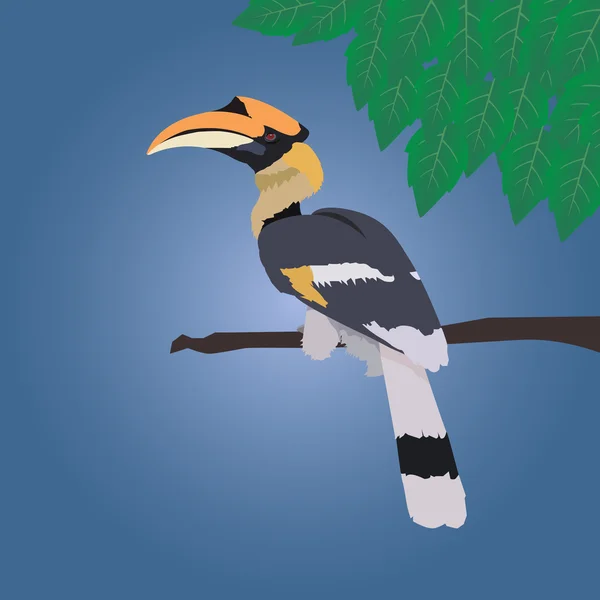 Great hornbill stand on the branch on blue background with leaf — Stock Vector