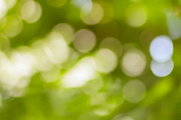 Abstract green bokeh background — Stock Photo, Image