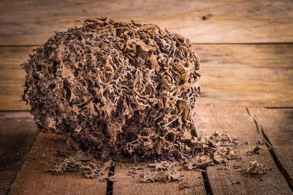 Förfalla brun log förstörelse av termit — Stockfoto