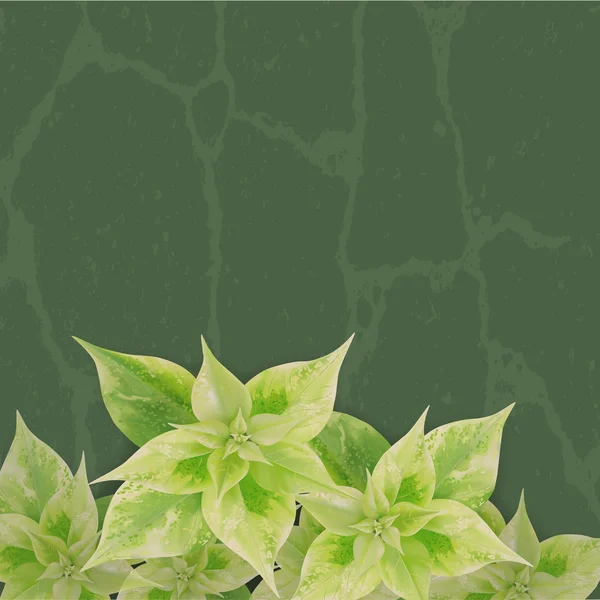 Зеленый лист с тенью на зеленом фоне — стоковый вектор