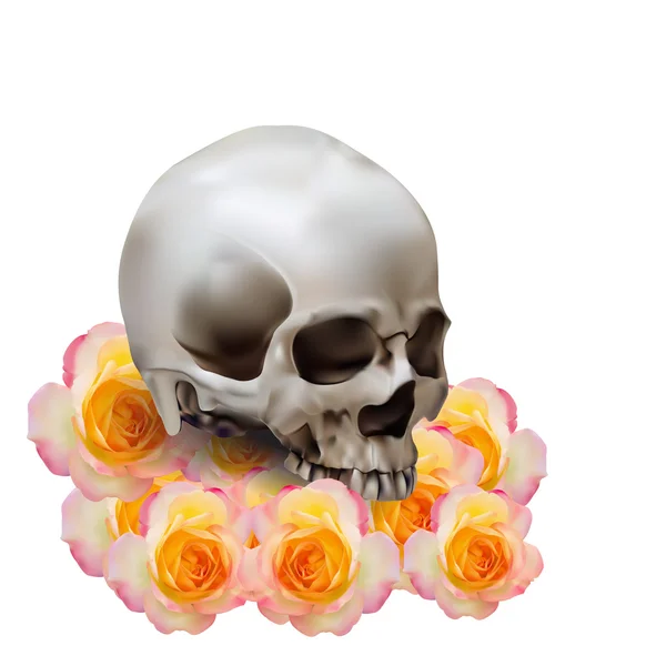 Crâne Humain Réaliste Avec Ombre Sur Jaune Avec Rose Fleur — Image vectorielle
