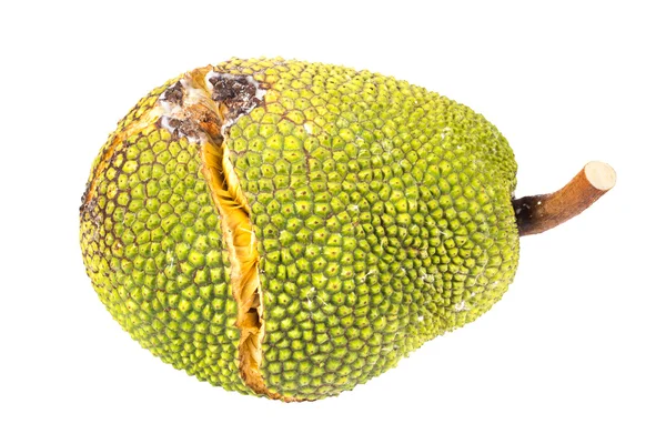 Jackfruit Con Buccia Crack Isolato Bianco Con Percorso — Foto Stock