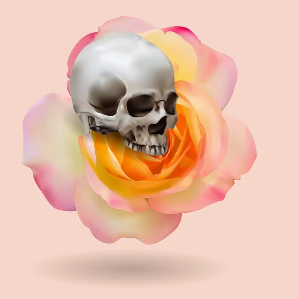 Cráneo Humano Realista Con Sombra Sobre Amarillo Con Rosa Rosa — Vector de stock