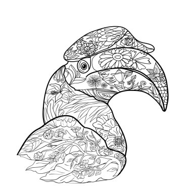 Satır sanat büyük Kartallar kuş beyaz arka plan üzerinde boyama, el çizilmiş kroki için yetişkin antistress boyama sayfası, T-shirt amblem, logo, dövme doodle, zentangle, çiçek öğeleri.