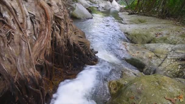 Καταρράκτης Που Ρέει Μέσα Από Μεγάλο Δέντρο Και Ροκ Ταϊλάνδη — Αρχείο Βίντεο