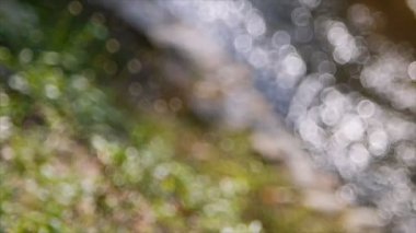 Odak bitki ve akan su