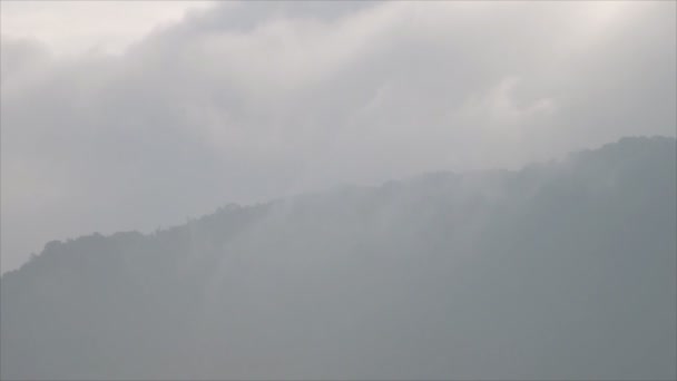 Névoa Que Flui Sobre Montanha Parque Nacional Phusoidao Tailândia — Vídeo de Stock