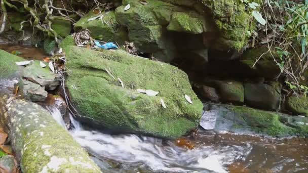 Saitip Vattenfall Med Mossiga Rock Phusoidao National Park Thailand — Stockvideo