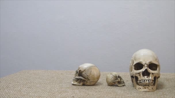 Set of human skull,tiny and normal size, on brown sackcloth — Stock Video