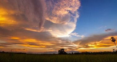 Pirinç alan: Songkhla, Thailand, üzerinde renkli gökyüzü ile gece Timelapse gün