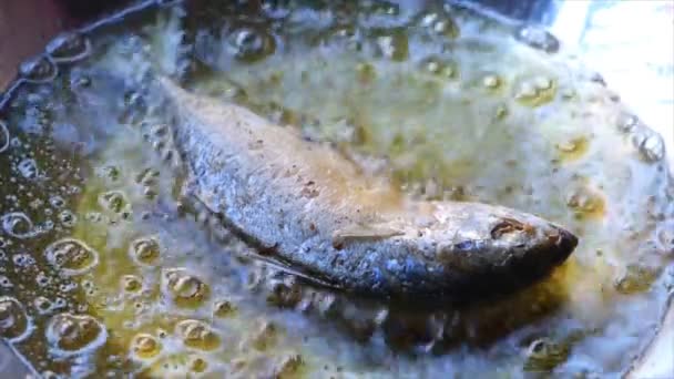 Closeup Τηγάνισμα Ψάρια Μικρής Ένσωματωμένα Σκουμπρί Καυτό Λάδι — Αρχείο Βίντεο