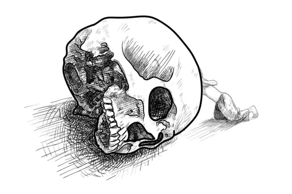 Zeichnung Eines Mannes Der Einen Menschlichen Schädel Schaut Isoliert Auf — Stockvektor