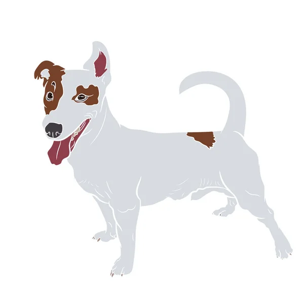 Adorável Jack Russell Cão Terrier Isolado Fundo Branco Ilustração Vetorial — Vetor de Stock