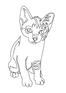 Beyaz arkaplanda izole edilmiş kedi yavrusu çizimleri, vektör illüstrasyonu