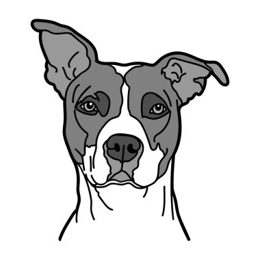 Amerikan Pitbull Terrier köpeği, vektör illüstrasyonu.