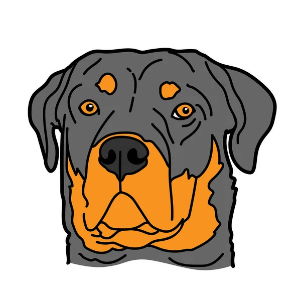 Rottweiler Pies Rasa Pet Portret Izolowany Białym Tle Ilustracja Wektor — Wektor stockowy